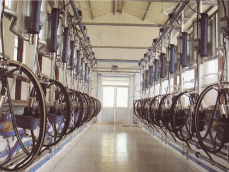 电子计量鱼骨自动脱杯式